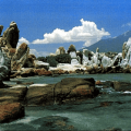 Cu Lao Cau, un paradis en devenir