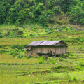 Mai Hich, trésor caché du Vietnam: Voyage authentique au cœur de Mai Chau