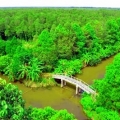 Réserve naturelle de Lung Ngoc Hoang