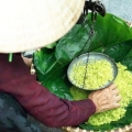 Parfums de l’automne du Vietnam 