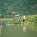 Pourquoi réserver un voyage au Vietnam avec une agence de voyage locale?