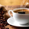 Le Vietnam au fil du café: Voyage sensoriel à travers Arabica, Robusta et les trésors cachés