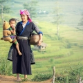 Voyager à Sapa au Vietnam: guide complet pour une expérience inoubliable