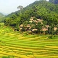 Hébergement chez habitant au Vietnam