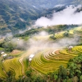Randonnée de 3 jours à Hoàng Su Phì, Hà Giang: aventure authentique au cœur des montagnes