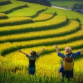 Trekking à Hoang Su Phi & Mu Cang Chai hors saison | Guide expert