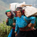 Que faut-il emporter pour faire la boucle de Ha Giang à moto ? Guide complet et conseils essentiels