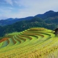 7 étapes incontournables à visiter dans le Nord Vietnam