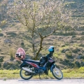 Ha Giang Loop: Road-trip en moto inoubliable dans le Nord du Vietnam