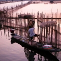 Voyager à Tam Giang: guide pratique pour découvrir le plus grand lagon du Vietnam