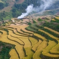 Découvrir la Culture des H'mongs à Mu Cang Chai: Un Voyage Authentique et Immersif