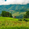 Les Meilleurs Hébergements à Mu Cang Chai: Où Loger lors de Votre Voyage