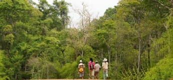 Trek au Cambodge 7 jours