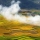La Nature et la Faune de Mu Cang Chai: Un Voyage au Coeur de la Biodiversité