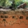 Comment visiter les tunnels de Cu Chi en 2025?