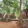 Mondolkiri et Ratanakiri: Immersion sauvage dans l’Est du Cambodge