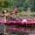 Guide complet pour visiter Ninh Binh – Transport, hébergement et itinéraires recommandés