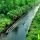 Les mangroves du Vietnam: écosystèmes sacrés à préserver