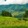 Les Meilleurs Hébergements à Mu Cang Chai: Où Loger lors de Votre Voyage
