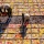 Les Meilleurs Spots Photo à Ninh Binh: Guide Ultime pour Capturer des Instants Magiques