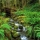 Le Parc National de Phu Quoc