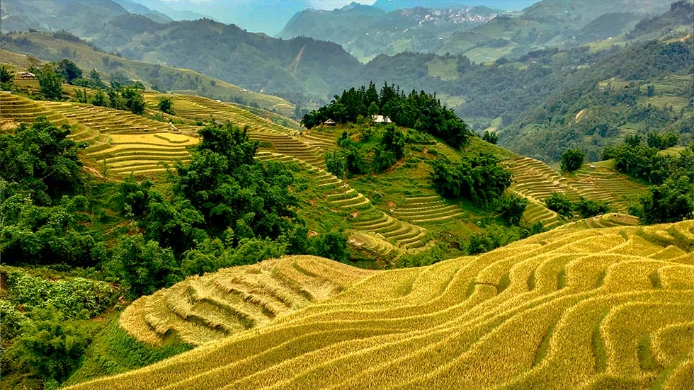 Chez-Habitant-Cao-Bang