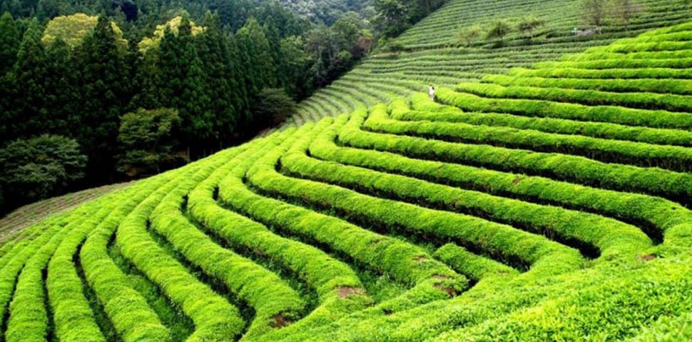 theiers-thai-nguyen