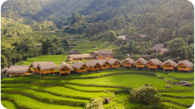 Ha Giang