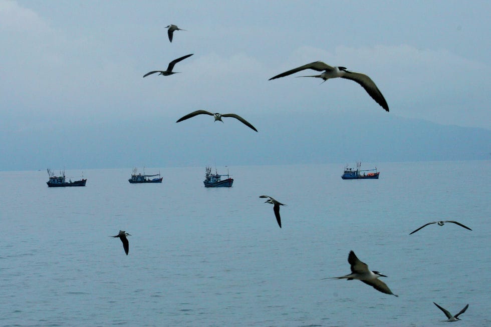 Nha Trang