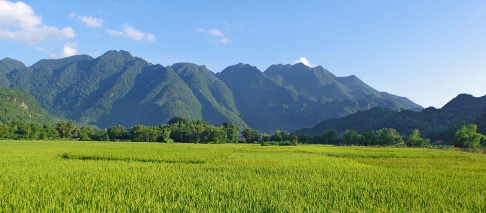 Mai Chau