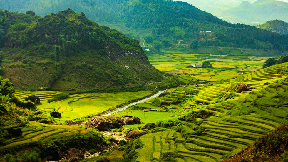 Mu Cang Chai