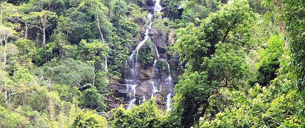 Parc Pu Mat pu-mat