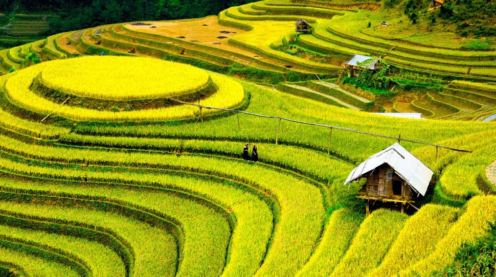 Riziere_Nord-VN