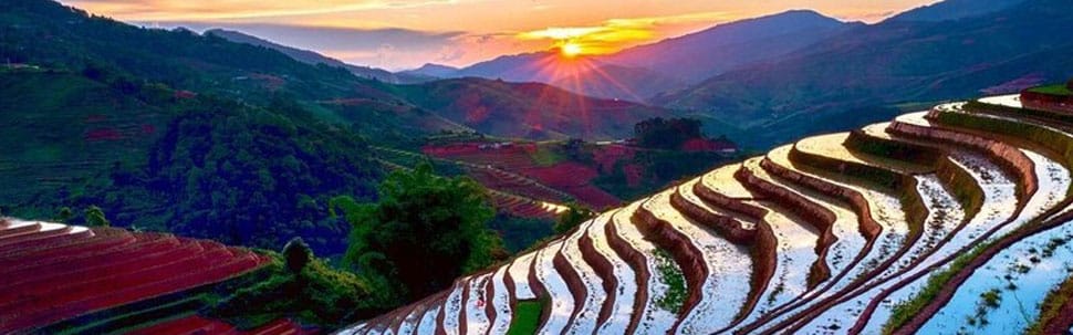 Rizières en eau - Sa Pa rizieres-sapa
