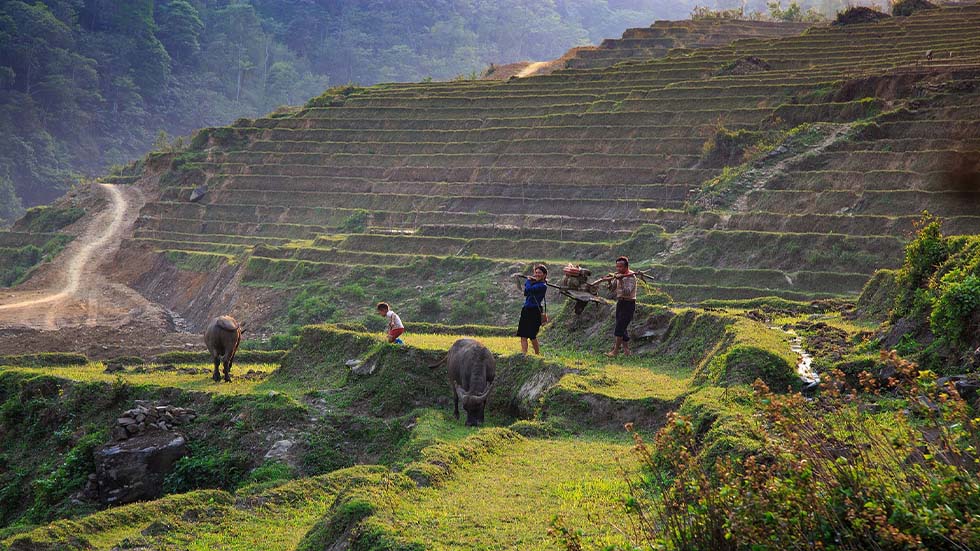 Découverte des ethnies à Sapa