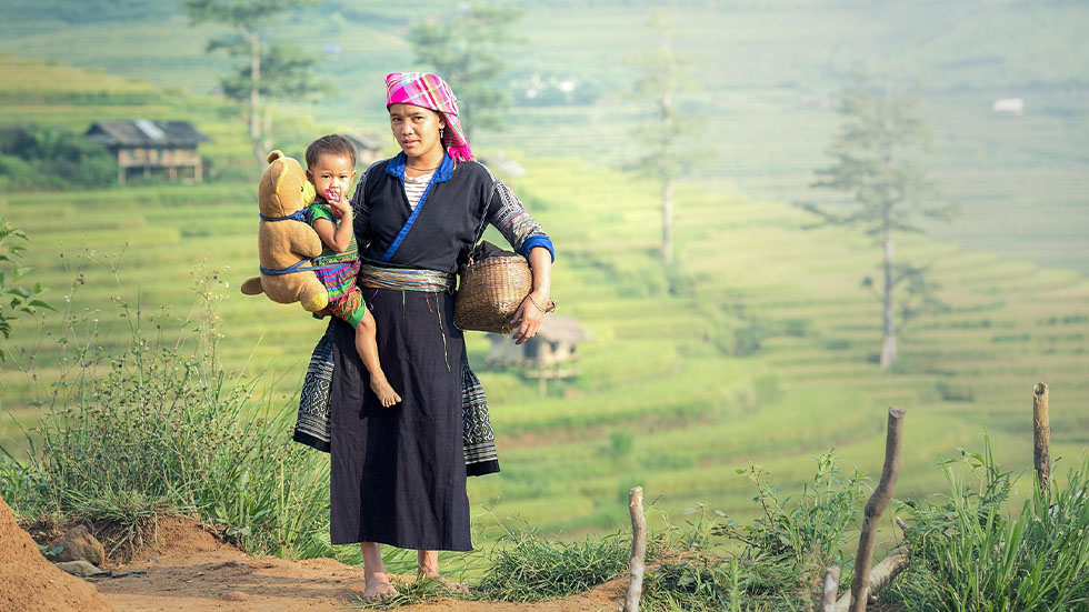 Sapa