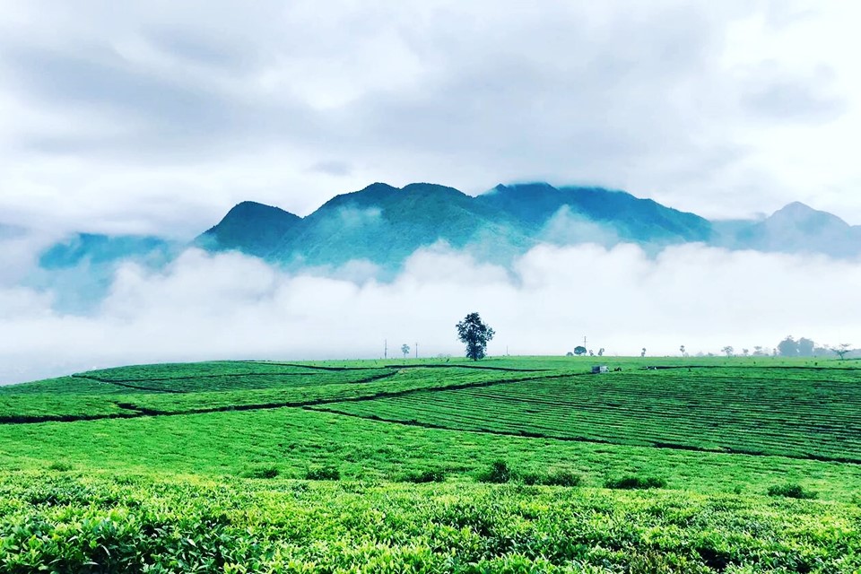 Lai Chau