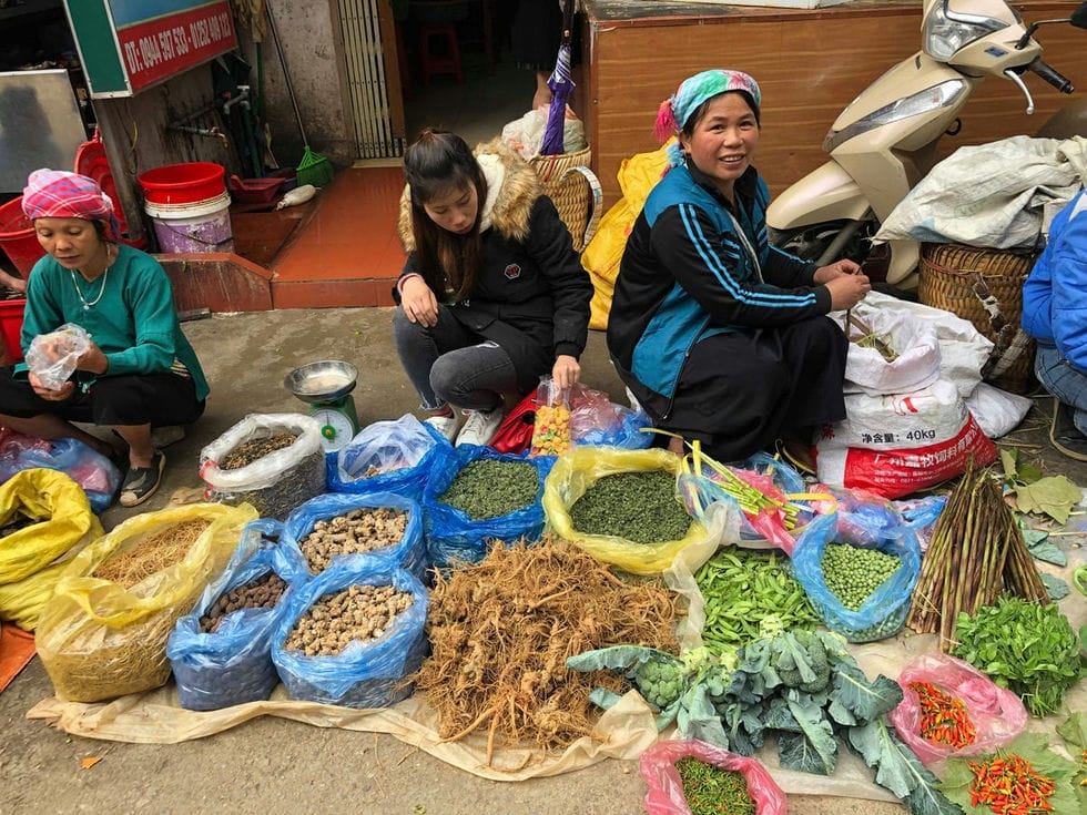Marchés ethniques de Cao Bang