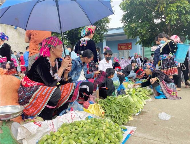 Lai Chau