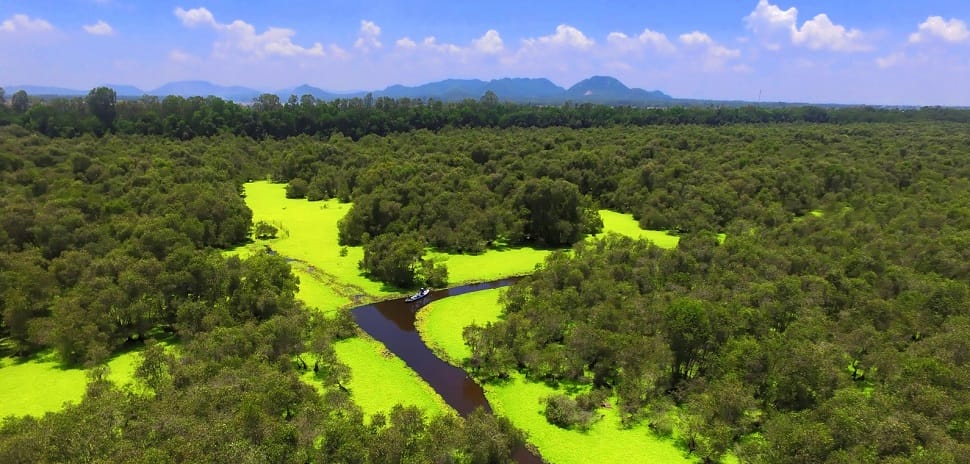 Découvrir la foret inondée de Tra Su decouvrir_tra-su