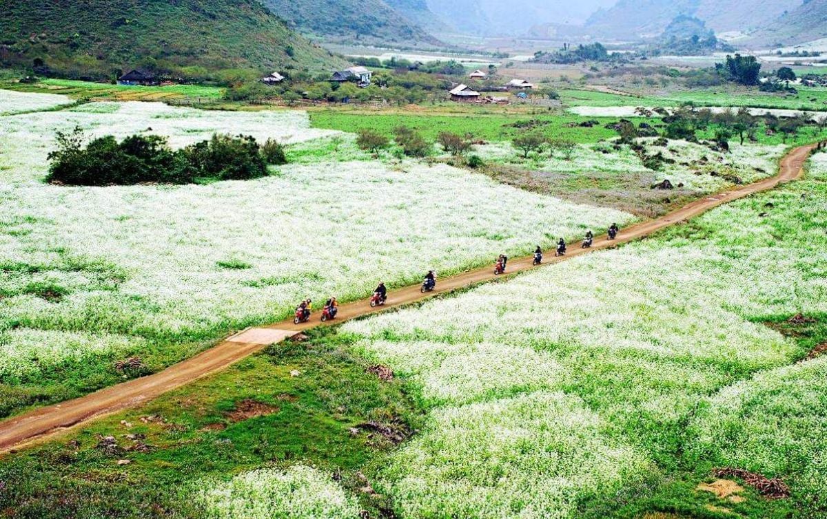 Moc Chau - Son La