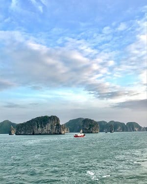 nguoc-vung_van-don