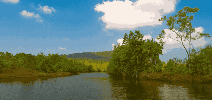 Beauté unique du Parc de Phu Quoc parc-national_phu-quoc