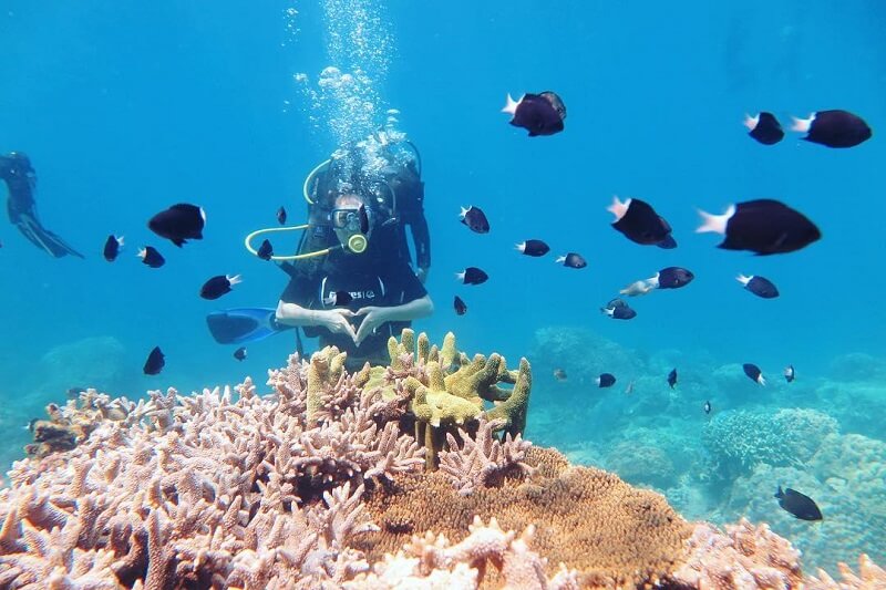  Que voir et faire Phu Quoc 3 ou 4 jours plongée 