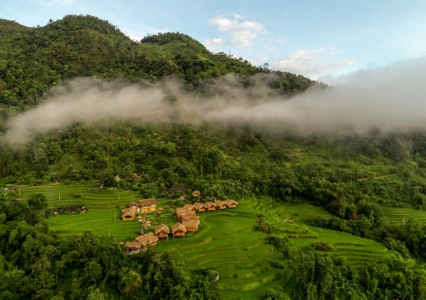 Rizieres vertes Hoang Su Phi  