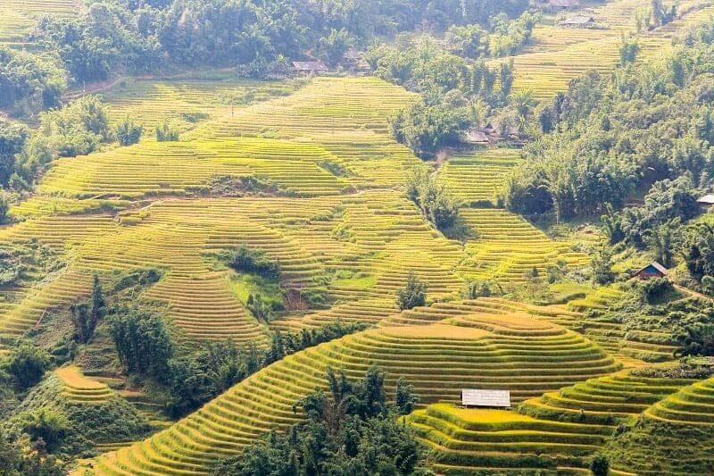 Trek Hoang Su Phi - Chieu Lau Thi - Bac Ha rizières terrasse