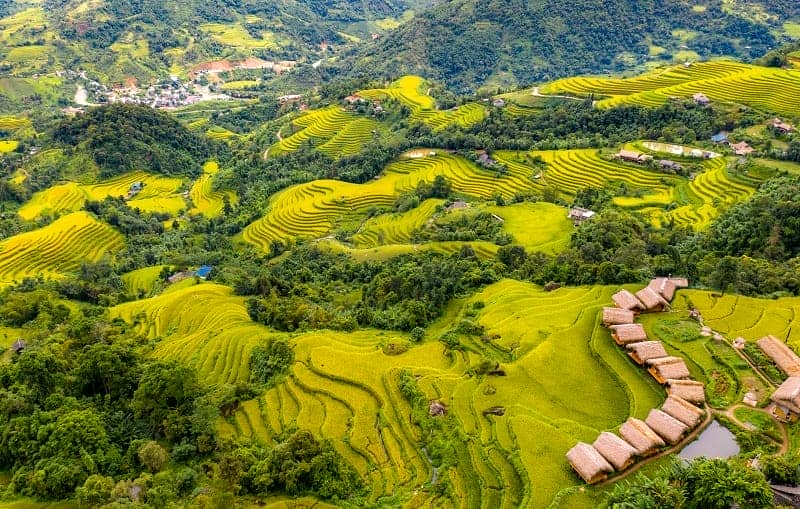rizières en terrasse Hoang Su Phi